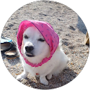 Cata Lina profile picture