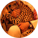 Khalid alotaibi profile picture